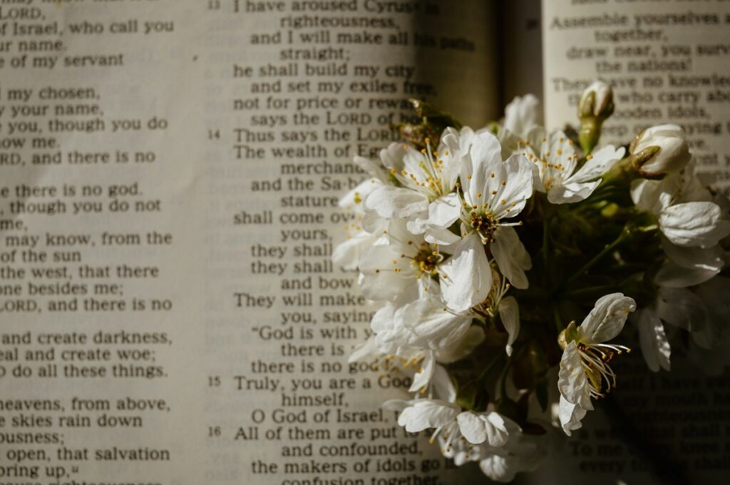 Flores no Livro de Salmos